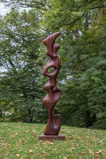 HOMMAGE À VASJA ŽBONA