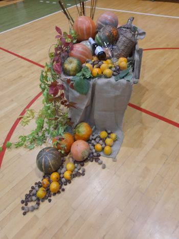 Družabno srečanje DU Bilje ob mednarodnem dnevu starejših