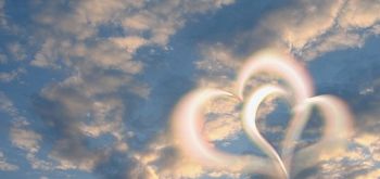 Dušna ljubezen Dušna ljubezen