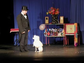 Čarodejska predstava Marlizz show