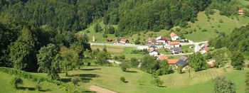 Lastniki ukrepov za redčenje obvodne vegetacije ne poznajo