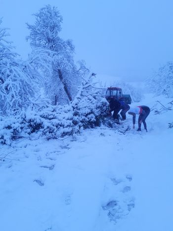 Močno sneženje in zastoji na cestah v Občini Dobje