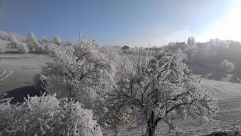OBVESTILO OBČANOM - zimske razmere