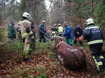 Meni nič, tebi nič jo je sama mahnila od doma 