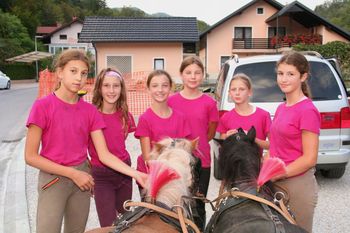 Na kmetiji je lahko tudi  lepo