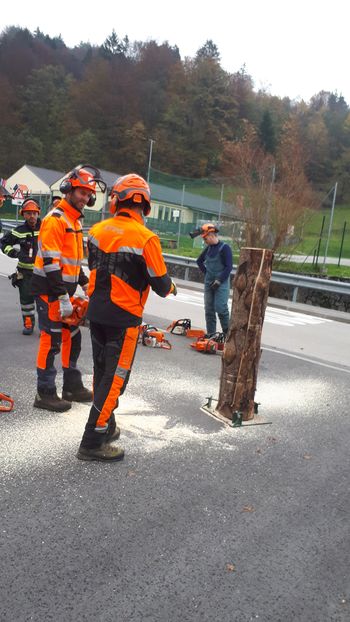 Tečaj varnega dela z motorno žago GZ Lukovica