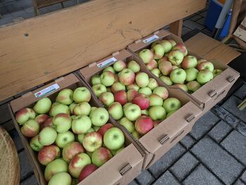 Živahna sobota na in ob rokovnjaški tržnici 
