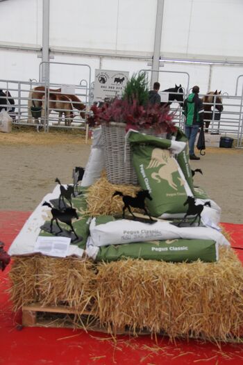 30. Jesenski kmetijsko obrtni sejem Komenda 2025 