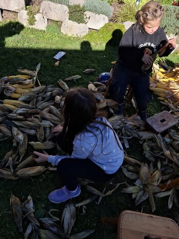 Krompirjeve počitnice