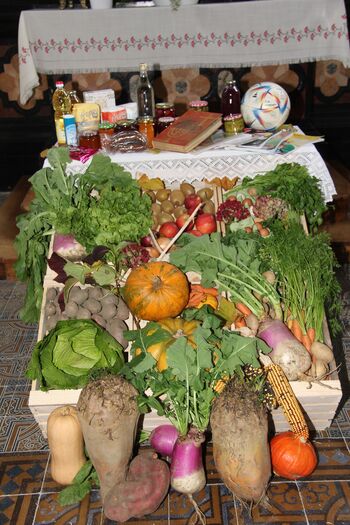 Zahvalna nedelja v župniji Krašnja 