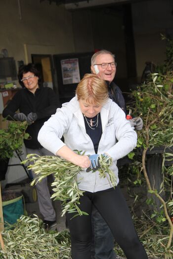 Butara velikanka pred cerkvijo v Šentvidu pri Lukovici