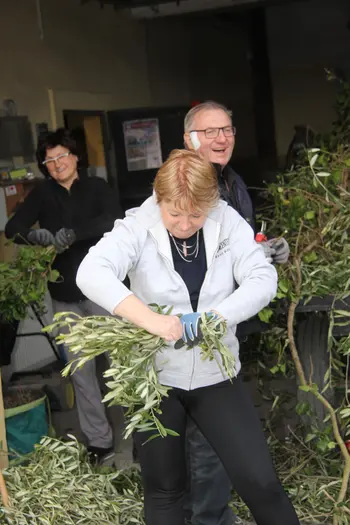 Butara velikanka pred cerkvijo v Šentvidu pri Lukovici