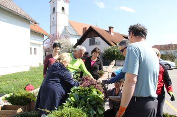 Butara velikanka pred cerkvijo v Šentvidu pri Lukovici