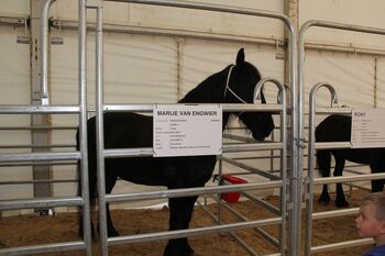 31. Spomladanski kmetijsko obrtni sejem Komenda 2026