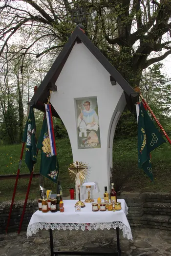 Sveta maša za pokojne čebelarje in čebelarke ter za dobro letino