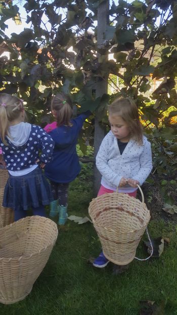  In spet smo zavihali rokave!