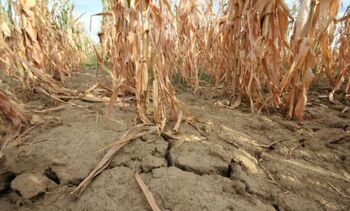 Ocenjevanje škode na kmetijskih pridelkih zaradi posledic SUŠE v letu 2025