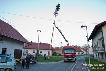 Postavitev majniškega drevesa v Banovcih 