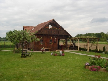 9. dnevi odprtih vrat Čebelarskega muzeja Krapje