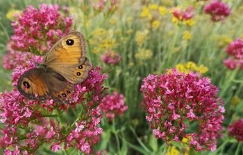 Slika poezije - rezultati fotografskega natečaja