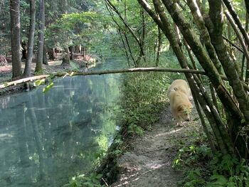 Rezultati fotografskega natečaja Pojdimo na sprehod