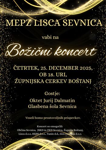 BOŽIČNI KONCERT