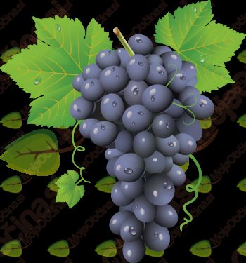 TRGATEV ZAVRH 2018 TRGATEV ZAVRH 2018