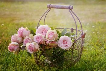 Kosmatinec – priznanje za urejeno okolico doma Kosmatinec – priznanje za urejeno okolico doma