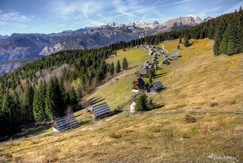 Planinski izlet Planina Zajamniki