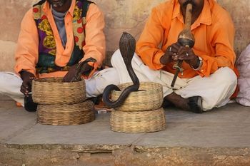 Matic Štorman: Potepanje po južni Indiji