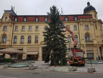 Smreke že krasijo naše mesto