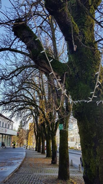 Zapora parkirišč na Novem trgu