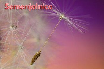 VABILO K SODELOVANJU PRI PROJEKTU SEMENJALNICA