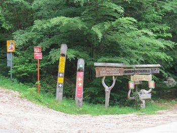 Popolna zapora gozdne ceste na Voje