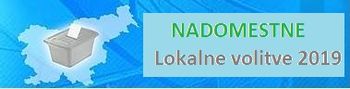 Nadomestne lokalne volitve 