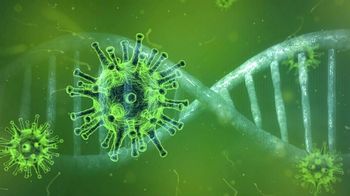 Vzpostavljen klicni center za informacije o Koronavirusu 