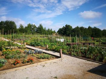 Vrtički sodijo na le urejena vrtičkarska območja