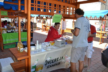 Tipične jedi Kanala in Prapotna