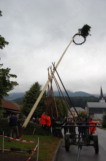 Folkloristi tudi letos postavili mlaj ob dnevu državnosti