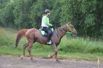 Karin in Blisk zmagovalca