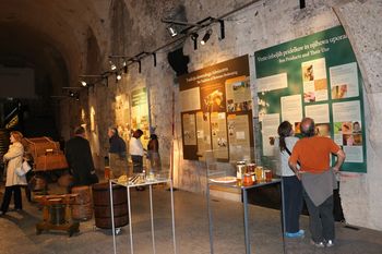 Okrogla miza Kulturna dediščina in čebelarstvo