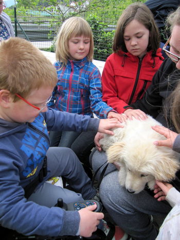 Pasje življenje na vrtovinski podružnici