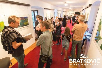 Tekme mlajših rokometnih selekcij 