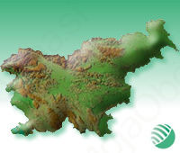 Davek na nepremičnine 