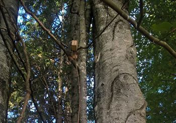 Začetek polharske sezone