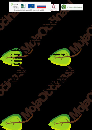 Delavnica za predstavitev 1. javnega poziva za izbor operacij LAS PPD