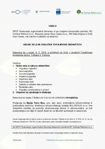 Delavnica: Oblike dela in zaslužka ter njihova obdavčitev