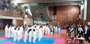 Taekwon-doisti organizirali 7. Conditus Cup v Radovljici