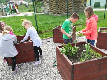 KUHARJI IN VRTNARJI UREJALI VRT IN OBNOVILI HOTEL ZA ŽUŽELKE