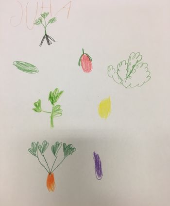 S šolskega vrta v lonec in želodčke